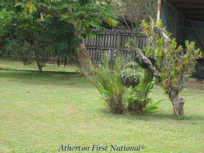 Atherton