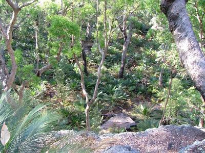 Lot 1 Lot 1 Radiata Rd, Kangaroo Valley