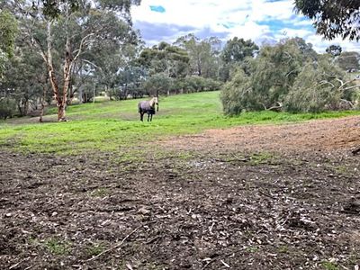 30 Clearview Retreat, Bullsbrook