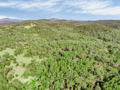 464 Tally Ho, Braidwood