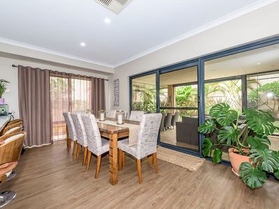 5 Tuomey Follow , Baldivis