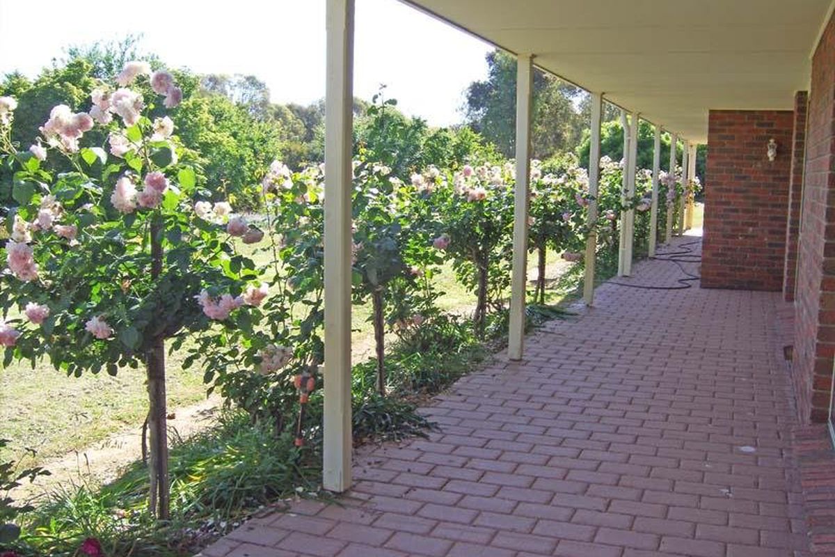 5 Curtis Court, Kyabram