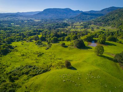 392 TUNTABLE FALLS ROAD, Nimbin