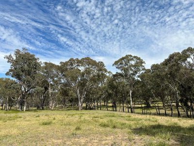 1830 Mount Hope Road, Coolah