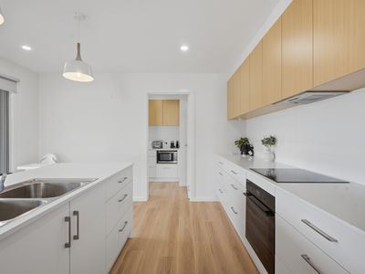 14 Pimelea Close, George Town