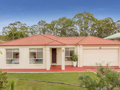 19 Constellation Way, Wynnum