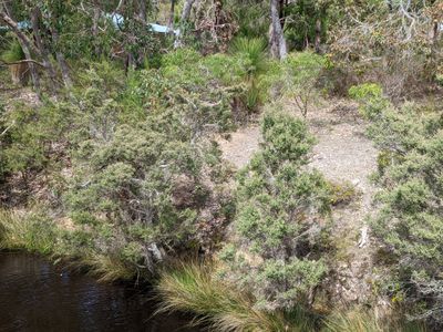 24 Flora Grove, Molloy Island