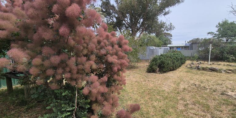 35 Sutherland Street, Euroa