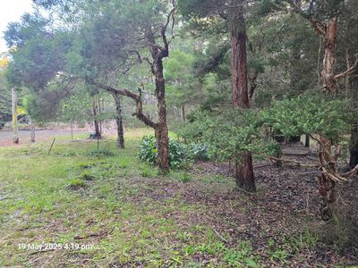 151 Inglewood Crescent, Tomerong