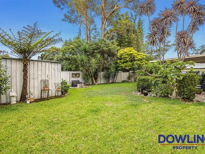 29 Tea Tree Drive, Medowie