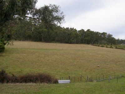 Gardners Bay
