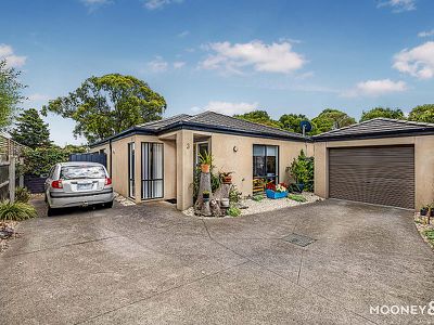 3 / 24 Rankin Road, Hastings