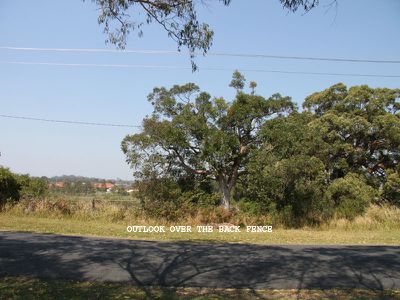 25 The Mews, Forster