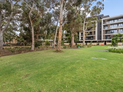 215 / 3 Banksia Street, Glenside