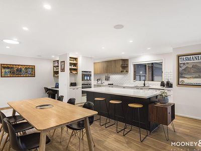 7 Black Wattle Place, Somerville