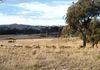 Lot 3, 2903 Burrendong Way, Kerrs Creek