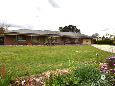 53 Ely Street, Oxley