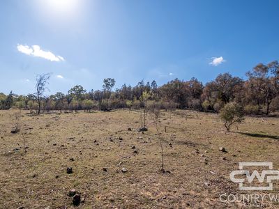 Lot 8 & 9, - Gulf Road, Emmaville