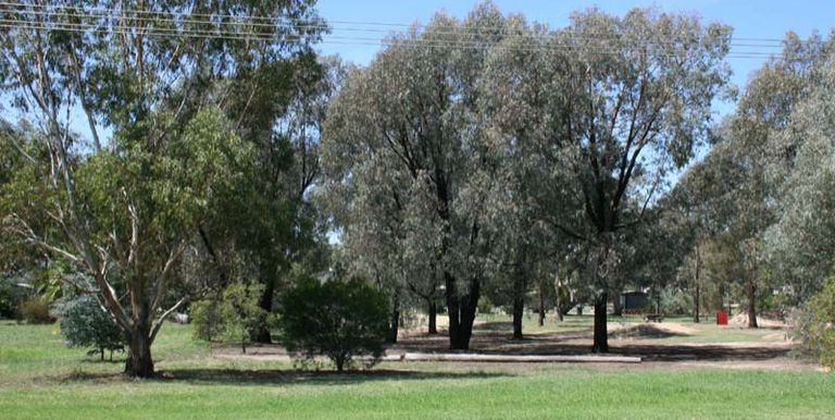 43 Hurley Street, Longwood