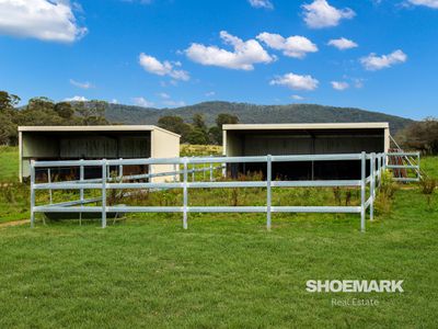 274 Mountain Creek Road, Braidwood