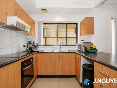 17 Foxlow Street, Canley Heights