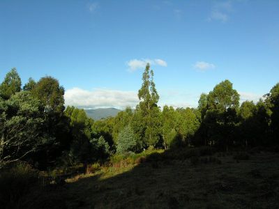 Maxfields Road, Franklin