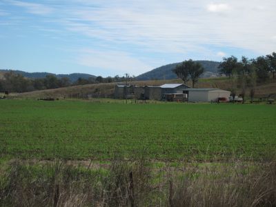 Mingoola Station, Tenterfield