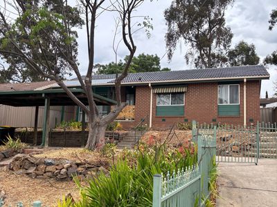 4 Oshea Court, Seymour