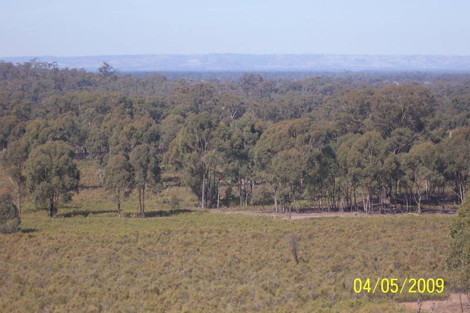 Willows Road, Murchison