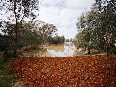 Collyn-Dale , Wangaratta