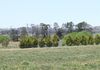 Lot 108 Benereefs Lane, Millthorpe