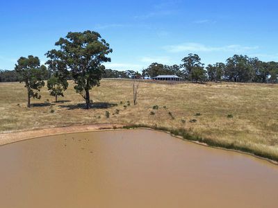 355 Sungarrin Rd, Tallarook