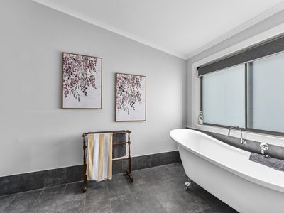 169 Williams Road, Millicent
