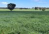 117 HILLSIDE LANE, Daroobalgie