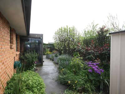 Wynyard