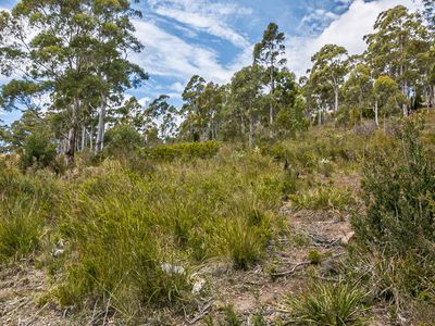29 Cowen Joe Road, Gardners Bay