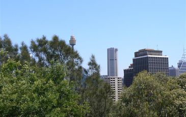 50 / 1 Tewkesbury Avenue, Darlinghurst