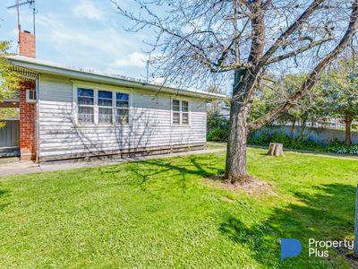 3 KURRAJONG STREET, Golden Square