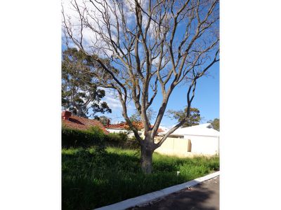 23A Shaftesbury Avenue, Bayswater