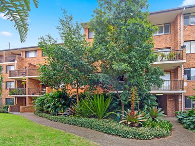 7 / 392 Jones Street, Ultimo