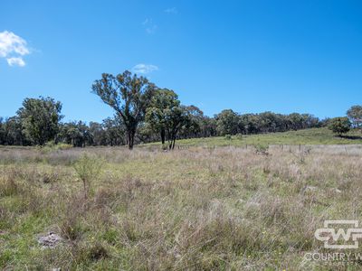 Lot 52, 2202 Wellington Vale Road, Emmaville