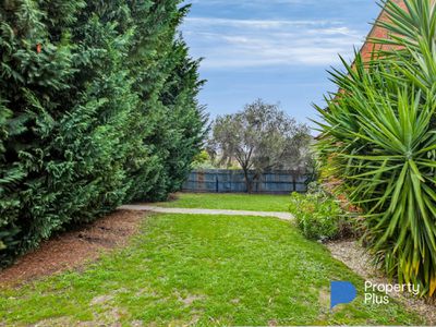 424 Napier Street, White Hills