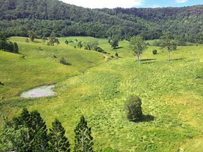 2430 Nimbin Road, Nimbin