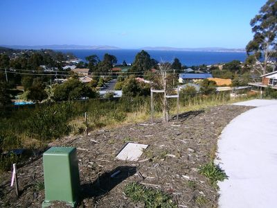 28 Caladium Place, Blackmans Bay