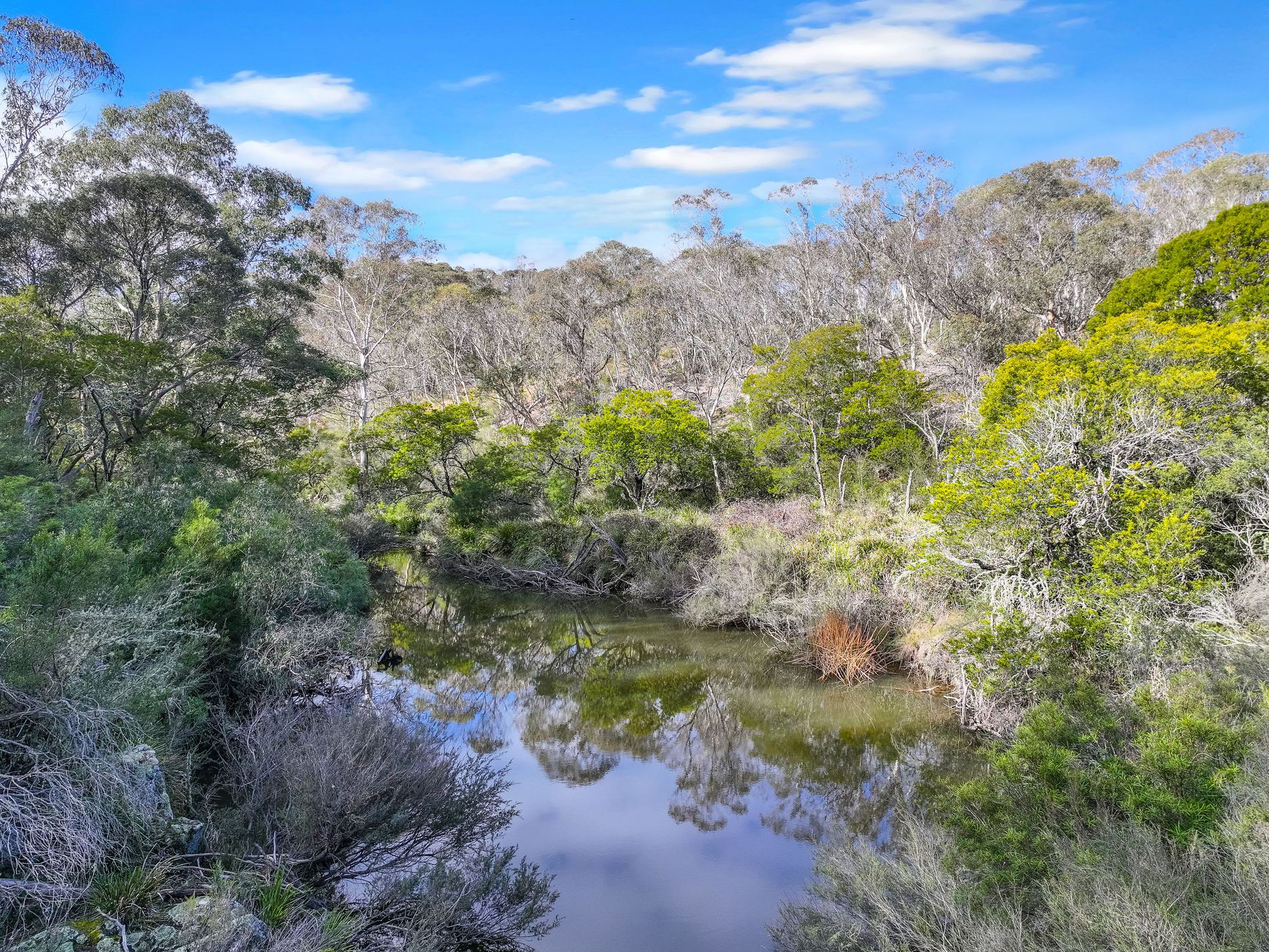 Lot 193 / 443 Back Creek Road, Mongarlowe