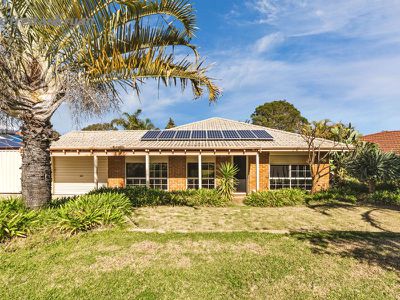 55 Cervantes Loop, Yangebup