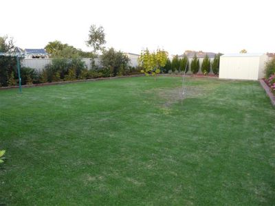 Tocumwal