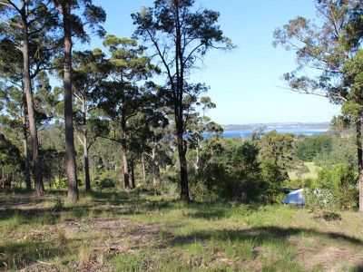 Lot 14 Stringybark Place, Millingandi