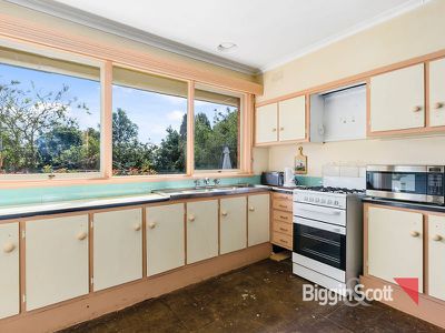 43 Hibiscus Road, Blackburn North