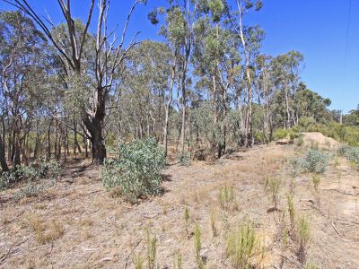 934 Nagambie Road, Costerfield
